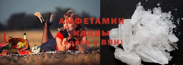 прущие грибы Белокуриха