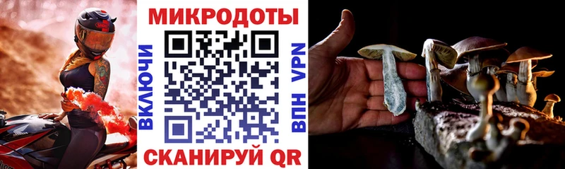 Купить закладки  Мариинск  Псилоцибиновые грибы Psilocybe 